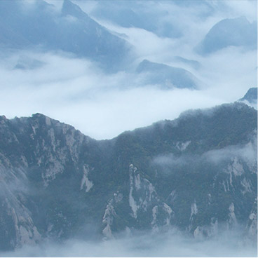 免费ddos在线攻击